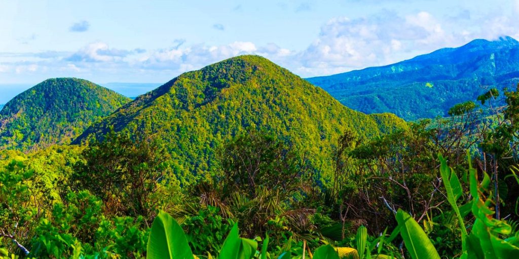 La Guadeloupe à découvrir en janvier : Guide pratique 2024